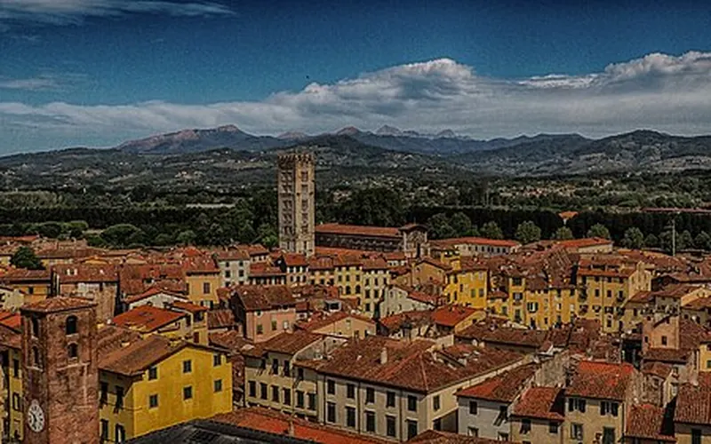 The roofs of Lucca from the Torre Guinigi