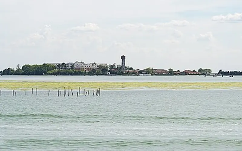 The island of Sacca Sessola (Isola delle Rose) from the Giudecca